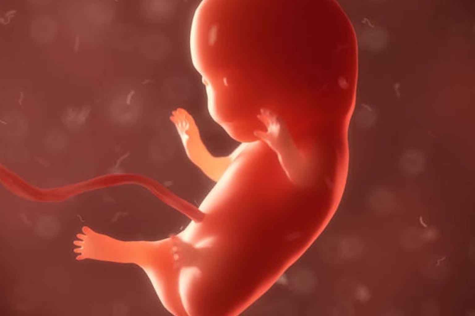 Signs Of Miscarriages To Look Out For