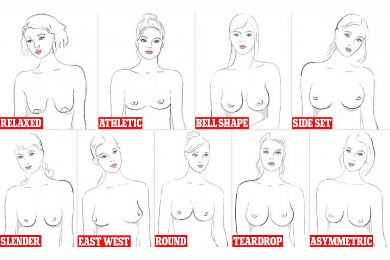 types of breasts