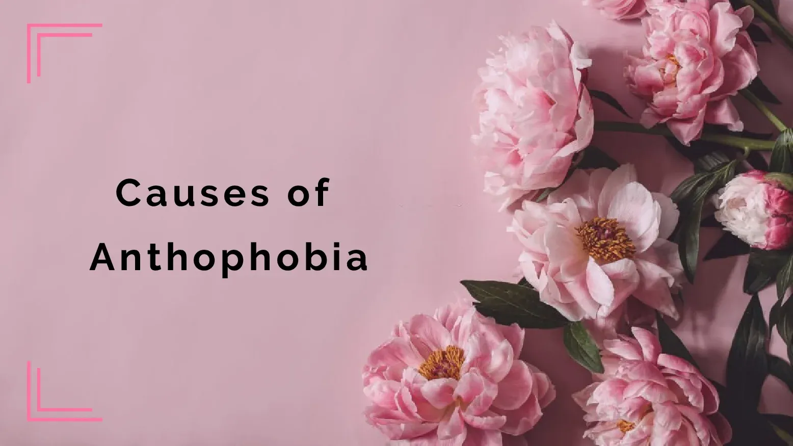 Anthophobia Fright Of Flowers