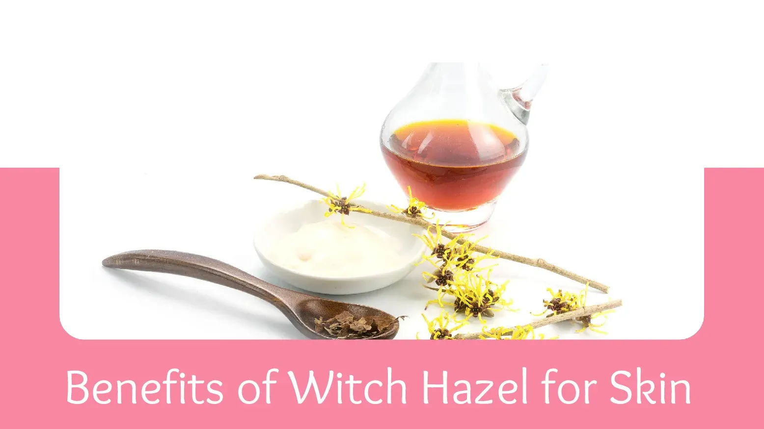 Witch Hazel For The Skin