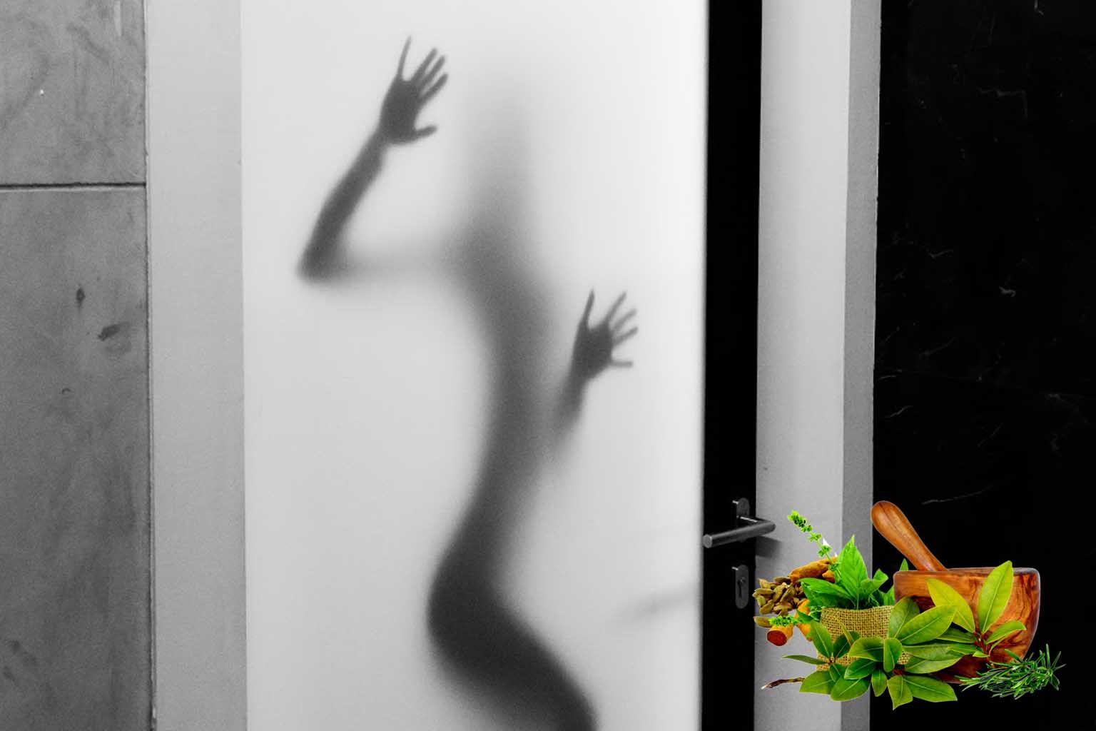 ayurvedic solutions to increase libido