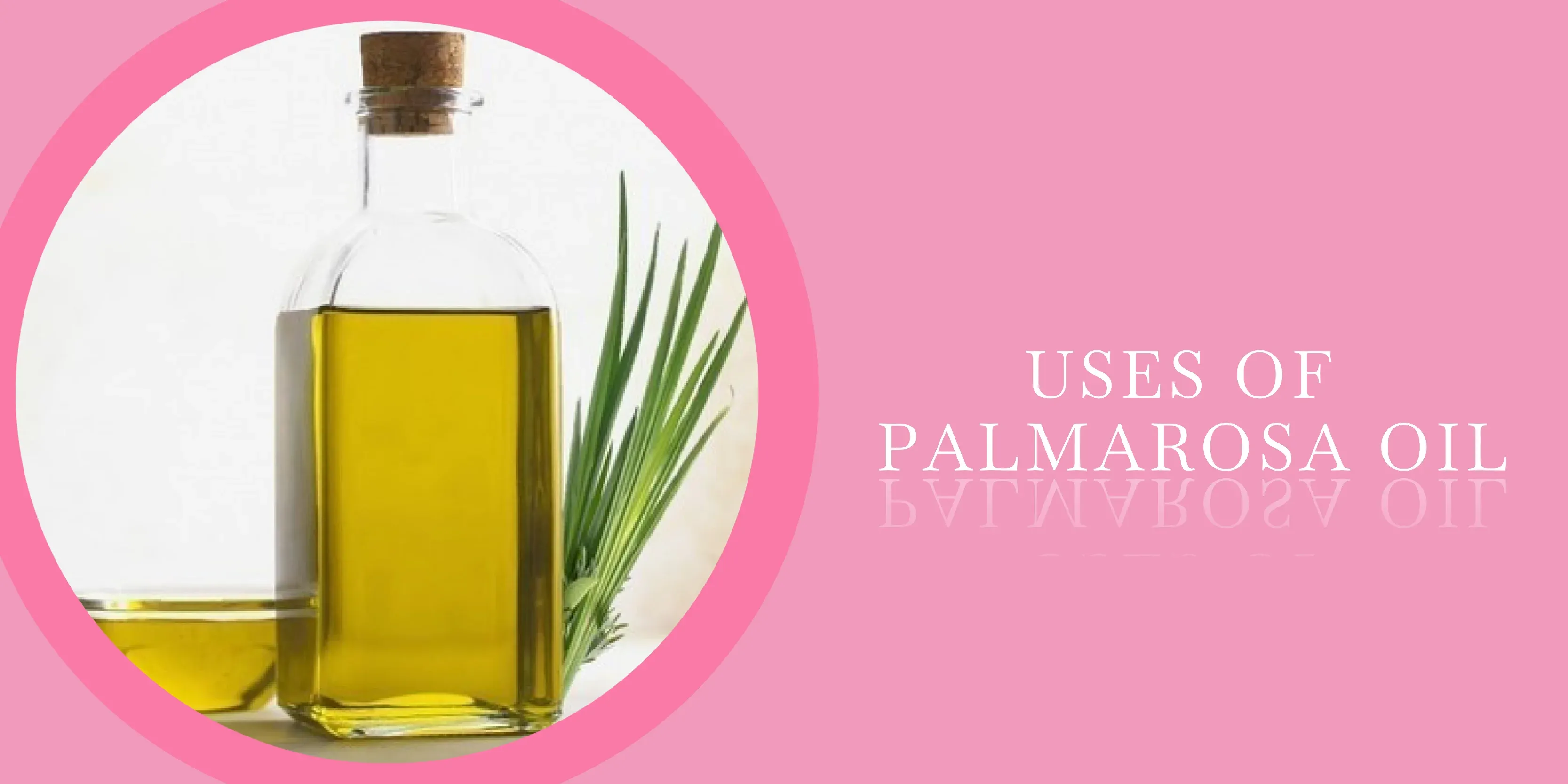 Health Benefits Of Palmarosa Oil