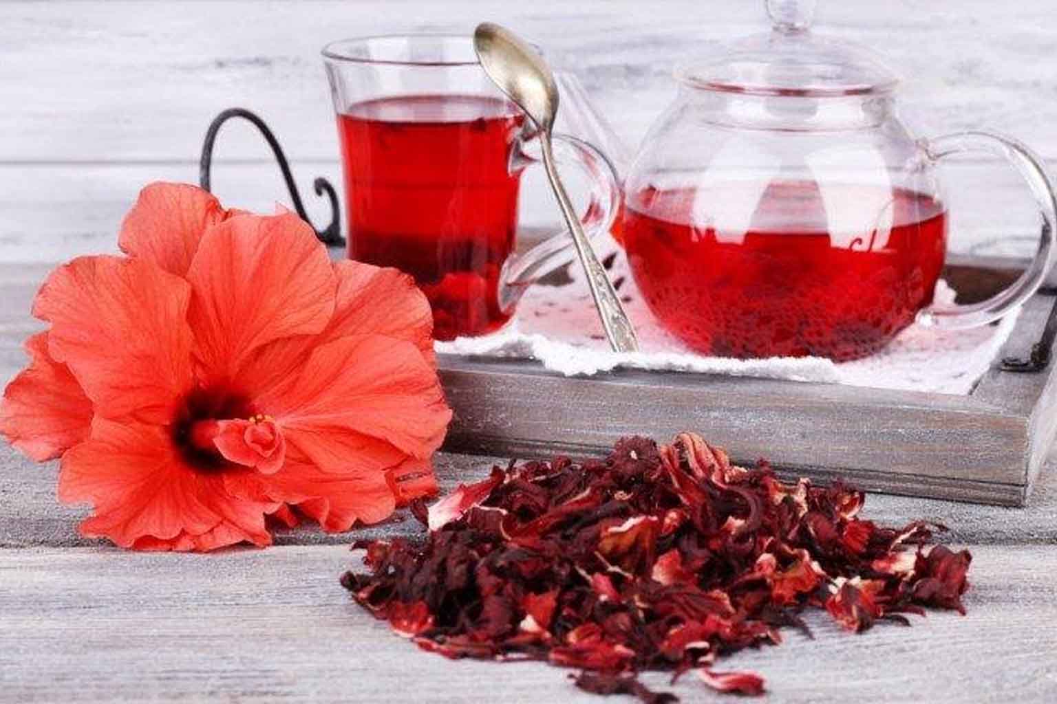 is-hibiscus-tea-good-for-you