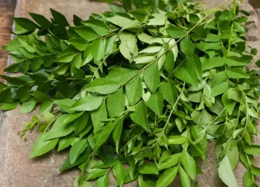  Benefits of Curry Leaves