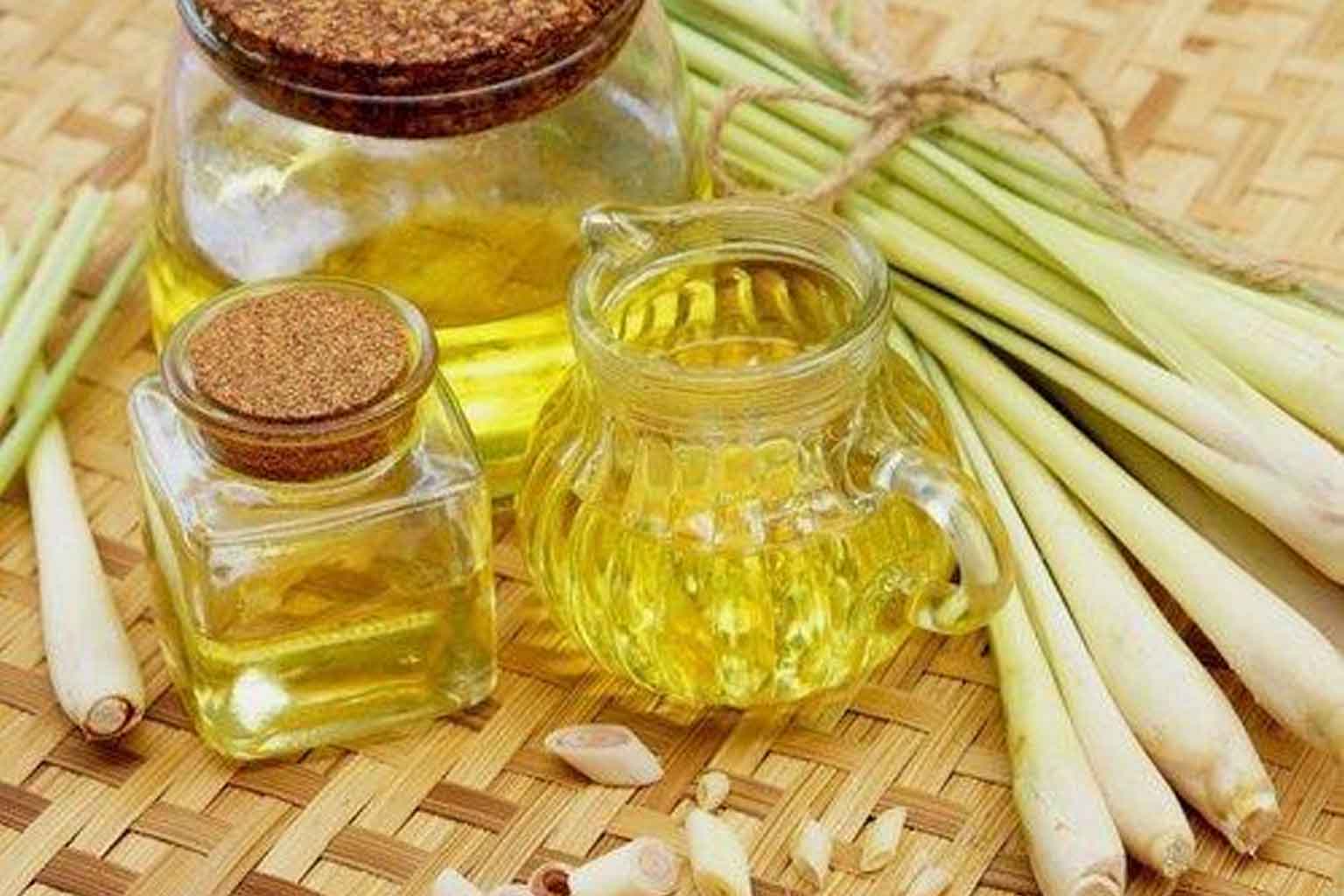 Amazing Benefits of Lemongrass Essential Oil