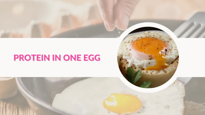 Is Protein In One Egg Enough To Meet Your Nutritional Needs 