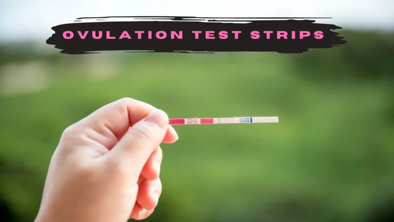 All About Ovulation Test Strips and Increased Chances of Pregnancy 