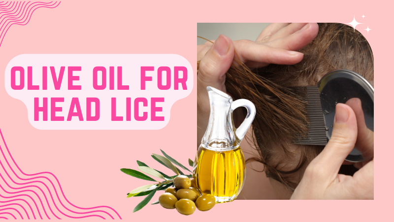 olive oil for head lice